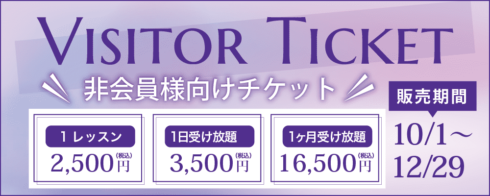 Visitor Ticket